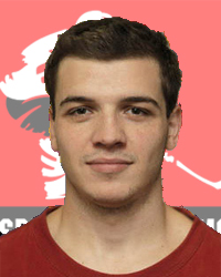 Pavel Suk