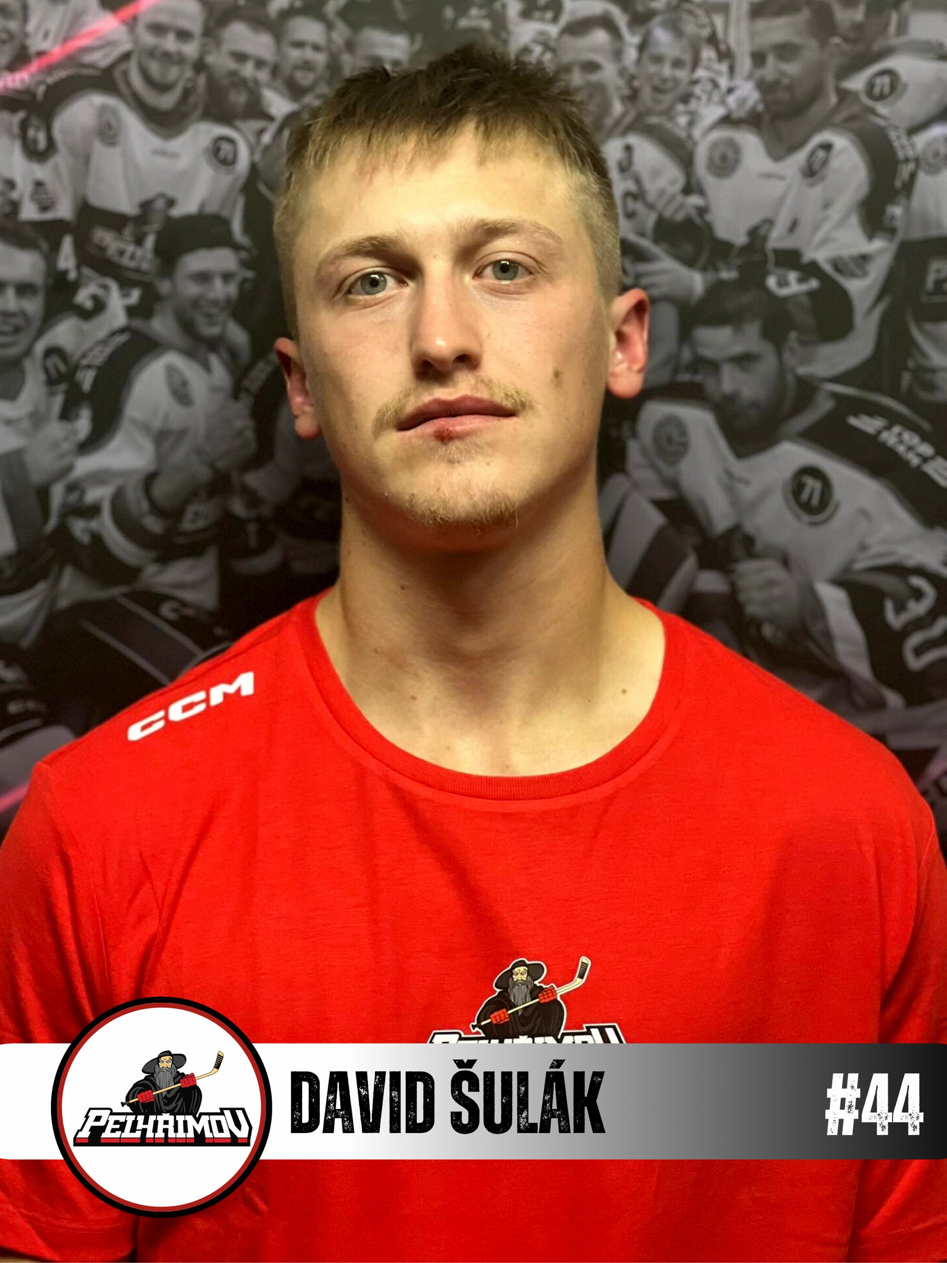 David Šulák #44