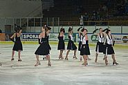 <b>Pestvkov program</b><br>